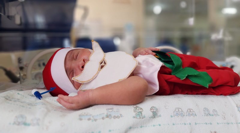 hpm Ensaio fotográfico de bebês resgata magia natalina na UTI do Hospital Edson Ramalho