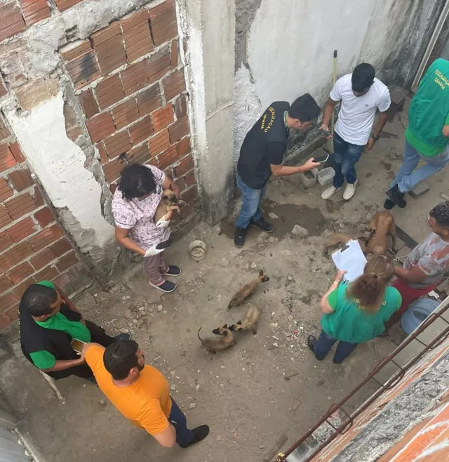 resgate-caes-cristo Cães são regatados em operação após denúncia de maus tratos na PB