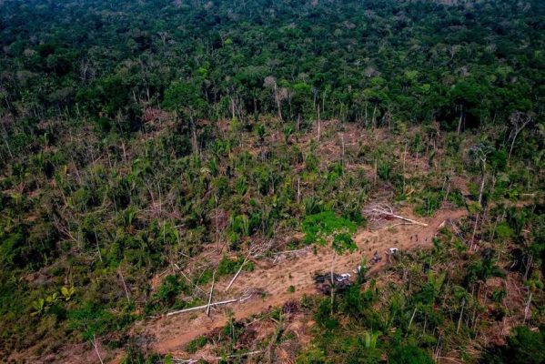 desmatamento-599x400 Desmatamento no Cerrado cresce 20% em 2022, diz Instituto de Pesquisa Ambiental da Amazônia