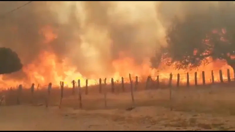 incendio Municípios paraibanos entram em alerta de baixa umidade e risco de incêndio