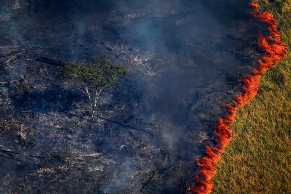 amazonia-desmatamento-2017-5536-599x400 Amazônia registra novo recorde de alertas de desmatamento em fevereiro
