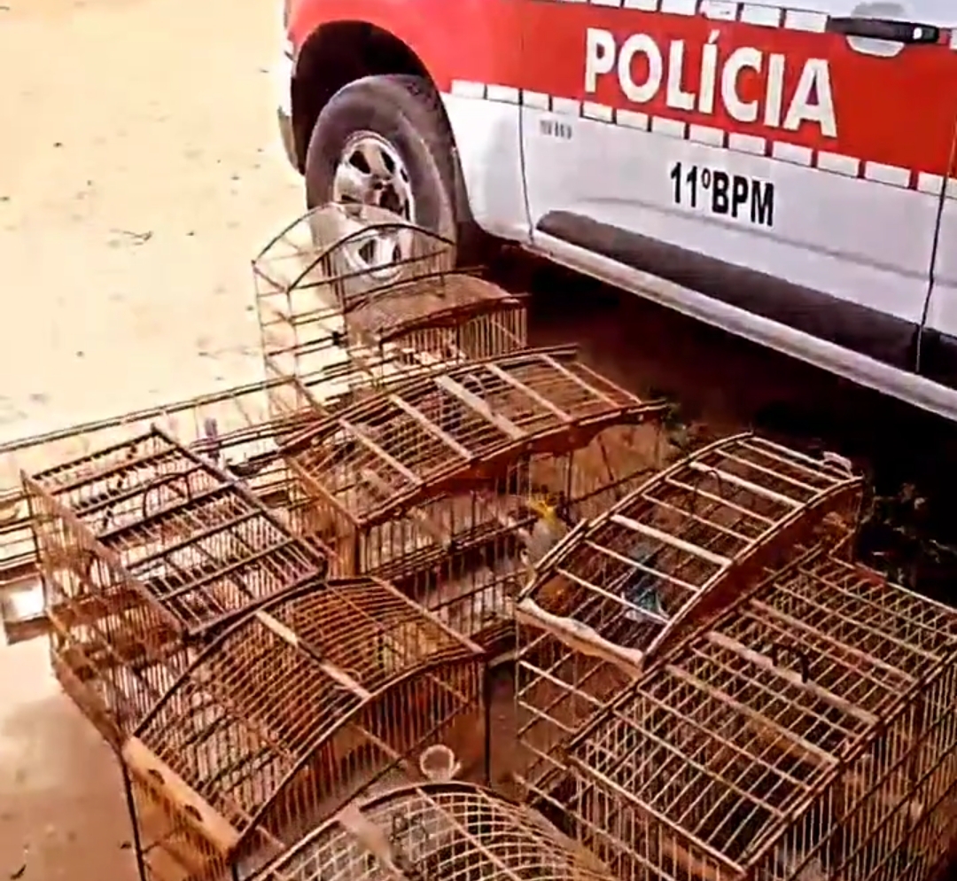 Screenshot_2023-03-22-13-58-53-949_com.instagram.android-edit Mulher é presa com aves silvestres em gaiolas em Monteiro