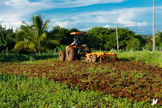 IMG-20230410-WA0390 Programa de aração de terras está sendo realizado no município de Prata a todo vapor .