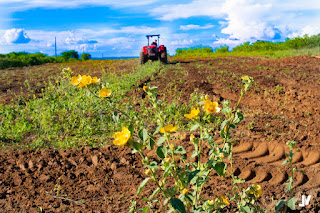 IMG-20230410-WA0393 Programa de aração de terras está sendo realizado no município de Prata a todo vapor .