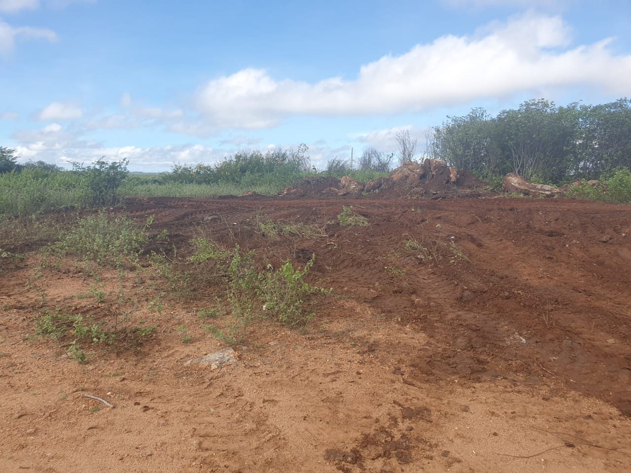 Secretaria-de-Agriculturaq-2 Corte de terras e limpeza no aterro sanitário marcam a agenda da semana em Monteiro