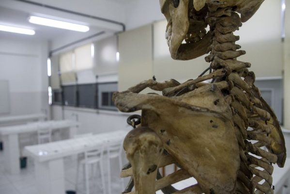 mgm8769-599x400 Falta de cadáveres prejudica formação de médicos no Brasil
