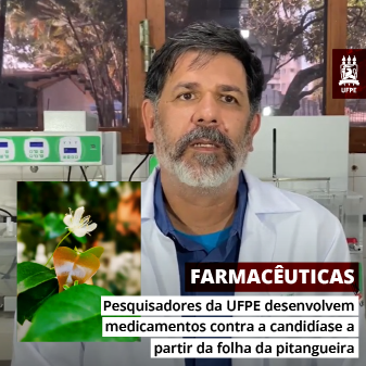 05.10.23-pitanga-miniatura Pesquisadores da UFPE desenvolvem medicamentos contra a candidíase a partir da folha da pitangueira