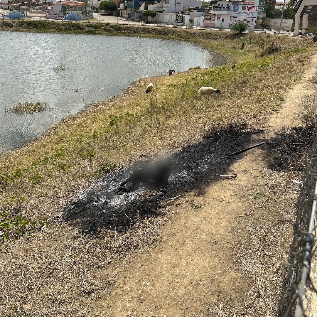 483095341 Cachorro é encontrado morto após ser queimado em Monteiro