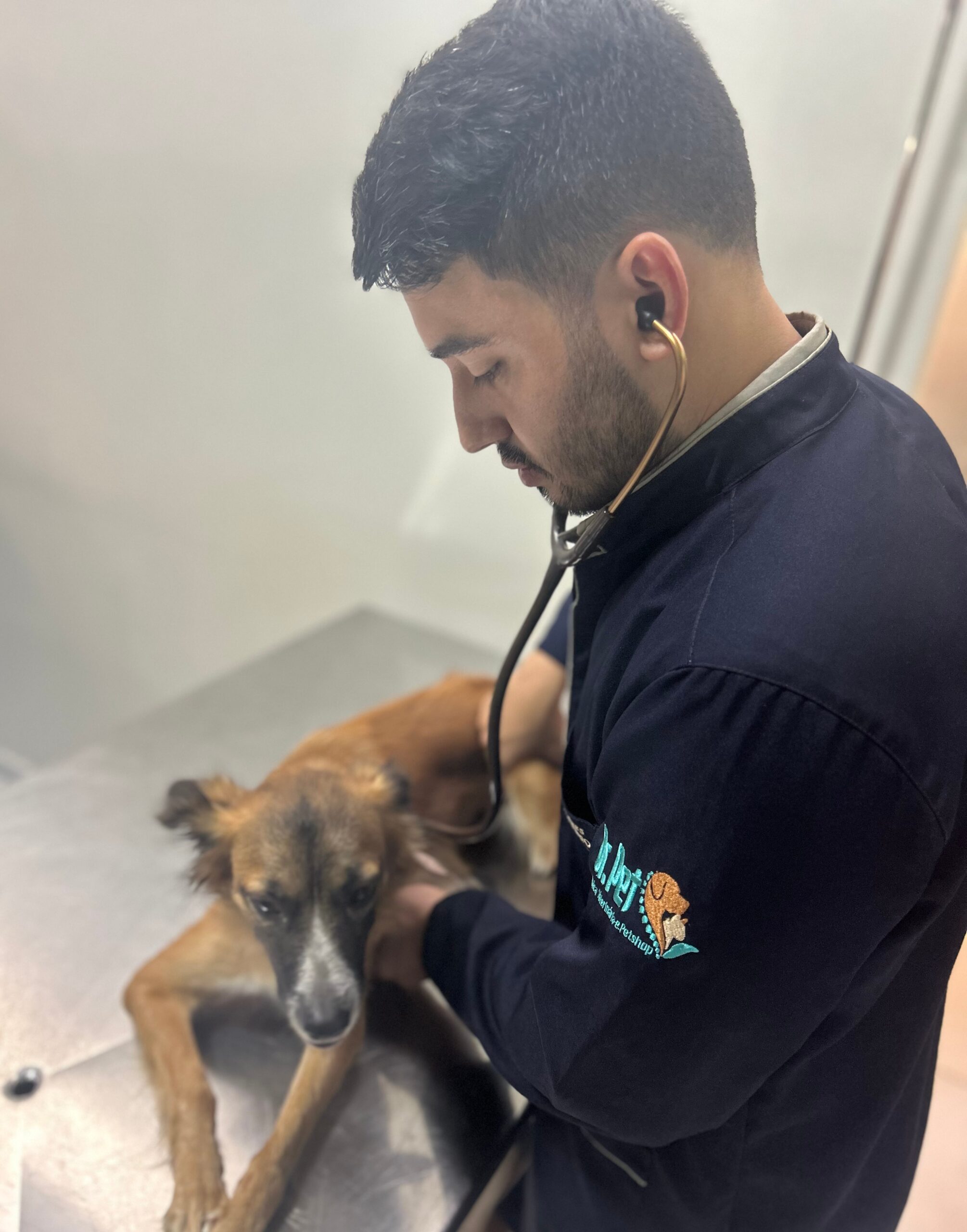 IMG_20240224_112158-scaled Clínica Veterinária Dr. Pet Celebra Dois Anos de Sucesso e Compromisso Com a Saúde Animal em Monteiro