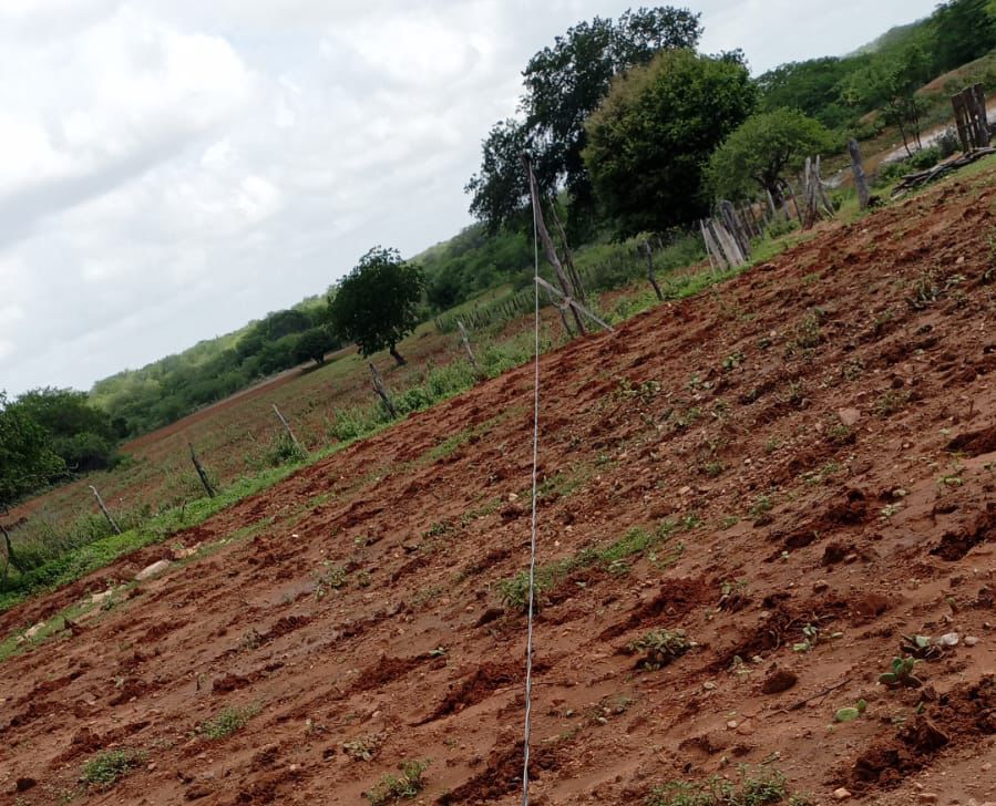 WhatsApp-Image-2024-02-23-at-09.53.01 No Cariri: Jovem morre eletrocutado enquanto plantava em roçado