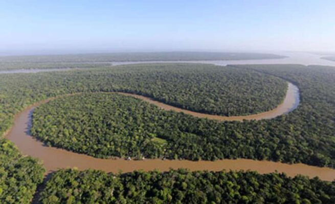 amazonia-ecod-655x400 Cientistas alertam para risco de colapso na Amazônia até 2050