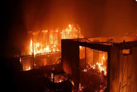 fogo-2 Número de mortos em incêndios florestais no Chile chega a 99