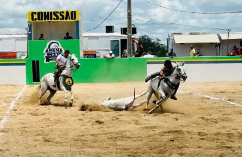 Screenshot_2024-03-07-19-10-10-316_com.instagram.android-edit Vaquejada do Parque Arena M10 tem início em São João do Tigre