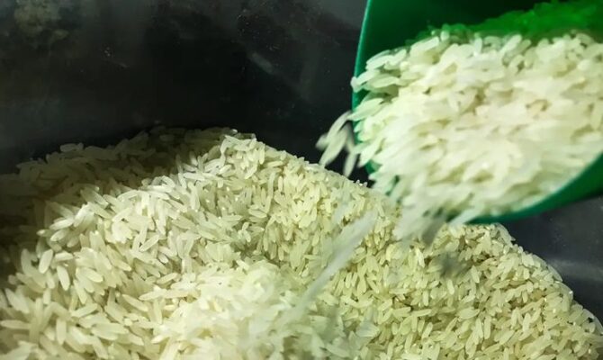 arroz-FOTO-marcello-casal-jr-agencia-brasil-1-670x400 Governo autoriza compra de 1 milhão de toneladas de arroz