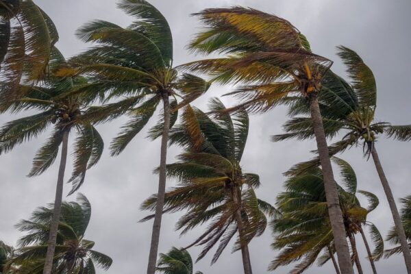 vendaval_vento____foto_reproducao-2-600x400 Toda Paraíba pode ser atingida por vendaval de até 60 km/h; alerta tem duração de três dias