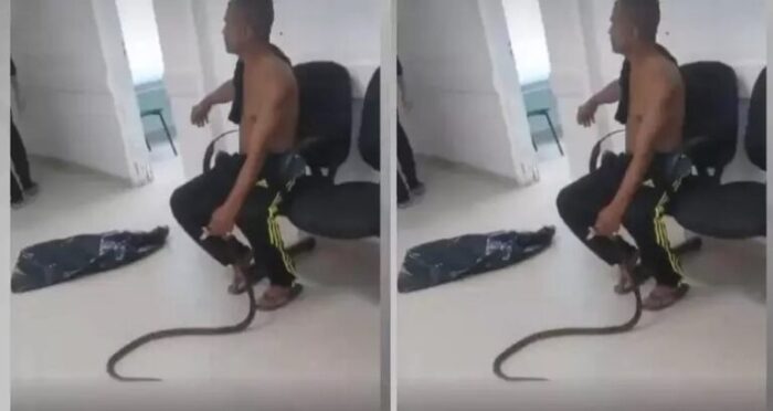 Sem-titulo-23-768x408-1-700x372 VÍDEO: homem leva cobra a hospital após ser picado pelo animal