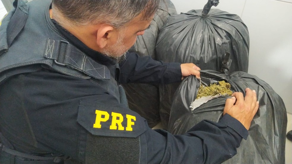 droga-apreendida-em-sertania PRF apreende mais de 150 quilos de maconha em Sertânia; droga seria transportada para o Agreste