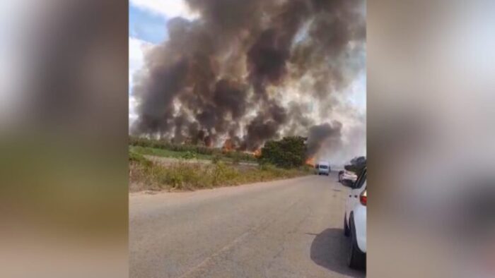 incendio-canavial-capim-pb-768x432-1-700x394 VÍDEO: incêndio atinge plantação de cana-de-açúcar na Paraíba