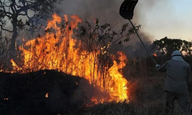 queiamdasnaamazoniafotovaltercampanatoagenciabrasil-768x459-1-669x400 Brasil concentra mais de 70% das queimadas na América do Sul nas últimas 48h