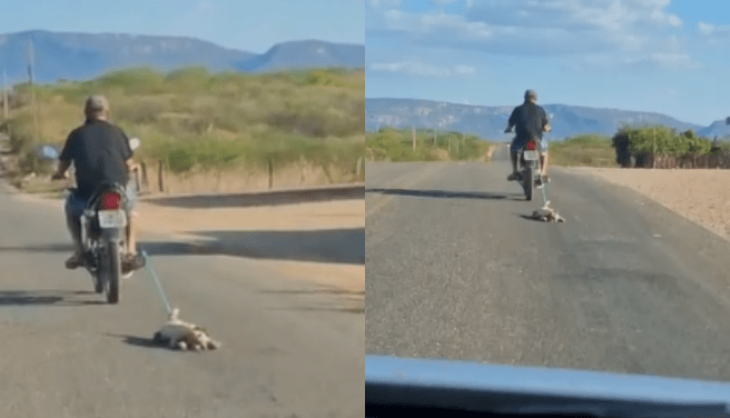 Design-sem-nome-56 Homem é flagrado arrastando cachorro amarrado a moto no Sertão da Paraíba