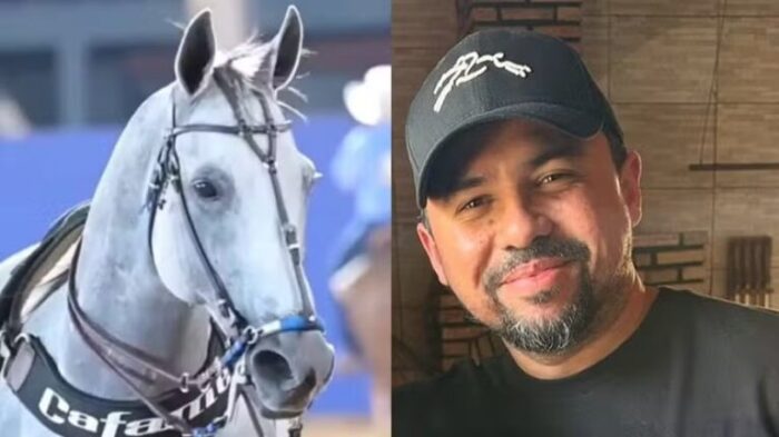 xand-768x431-1-700x393 Fraude? Estado da Paraíba desconhece leilão de cavalos de Wesley Safadão que movimentou R$ 121 milhões e quanto deve recolher em ICMS